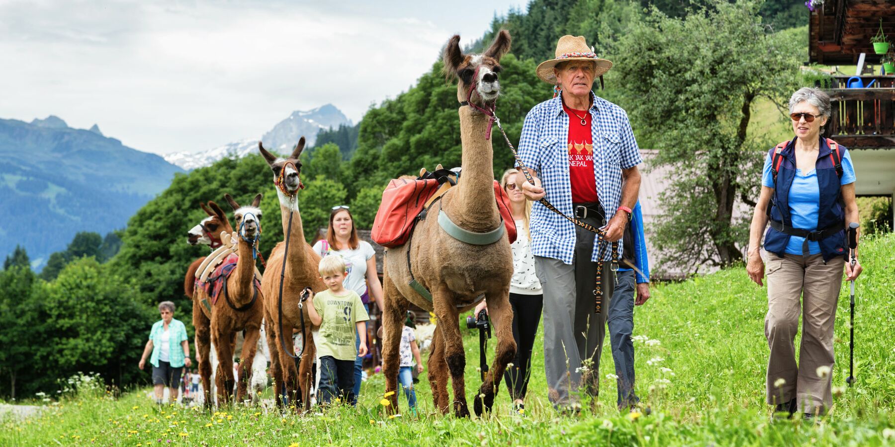 Auf Bergknappenpfaden Unterwegs Mit Lamas | Montafon.at